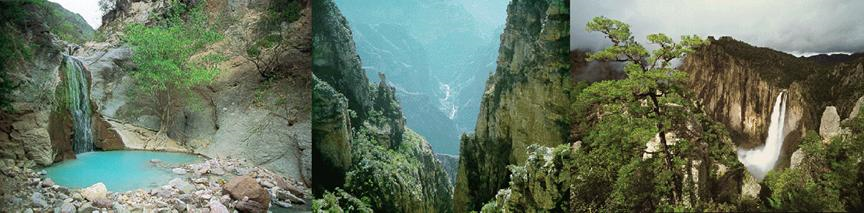 Waterfalls_Mexico_Basaseachi_Canyon.gif